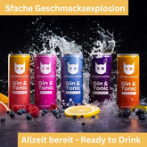 Böser Kater Gin & Tonic Probierset 5fache Geschmacksexplosion